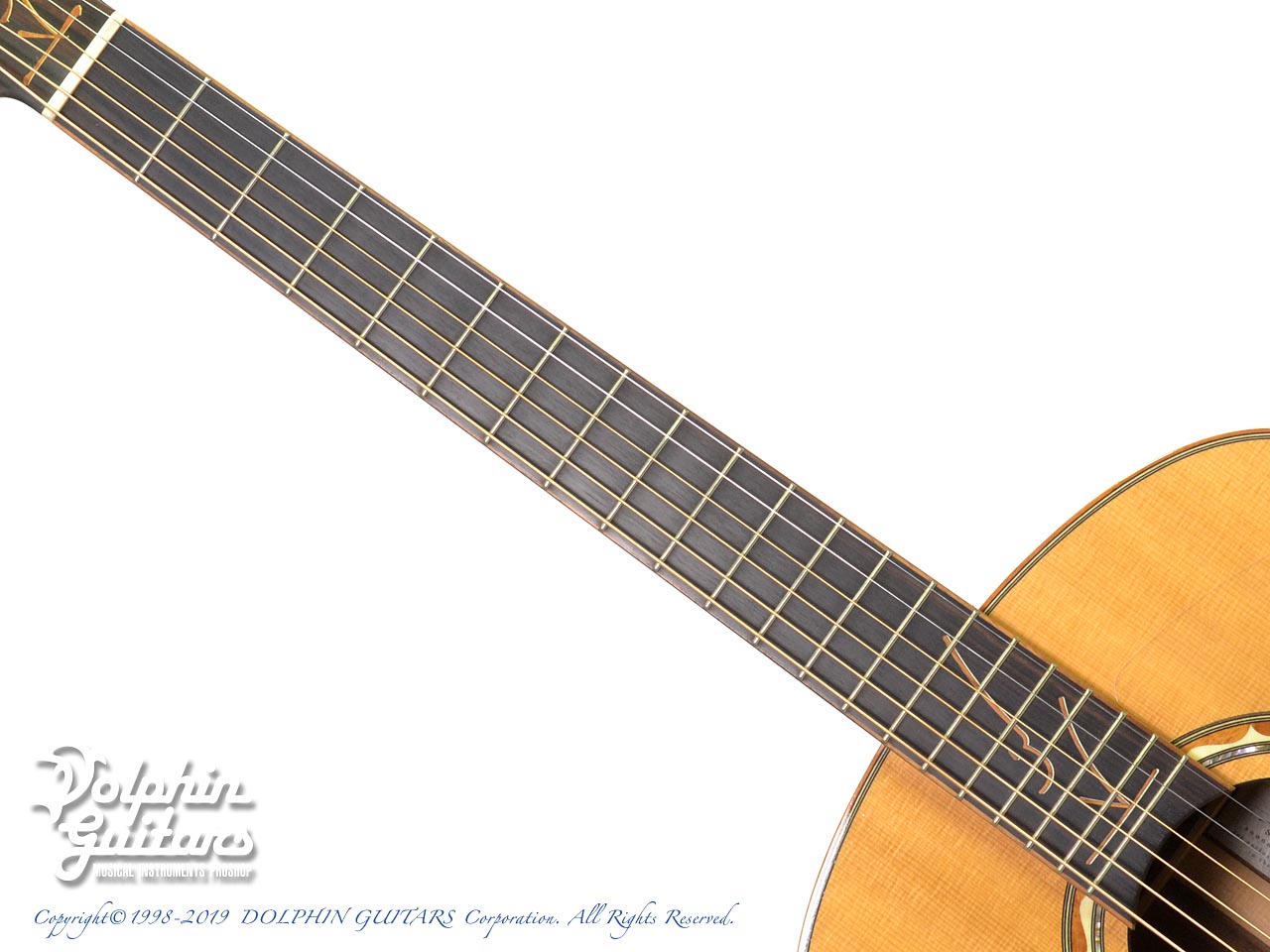 KISO KLEIN OMK-1|ドルフィンギターズ