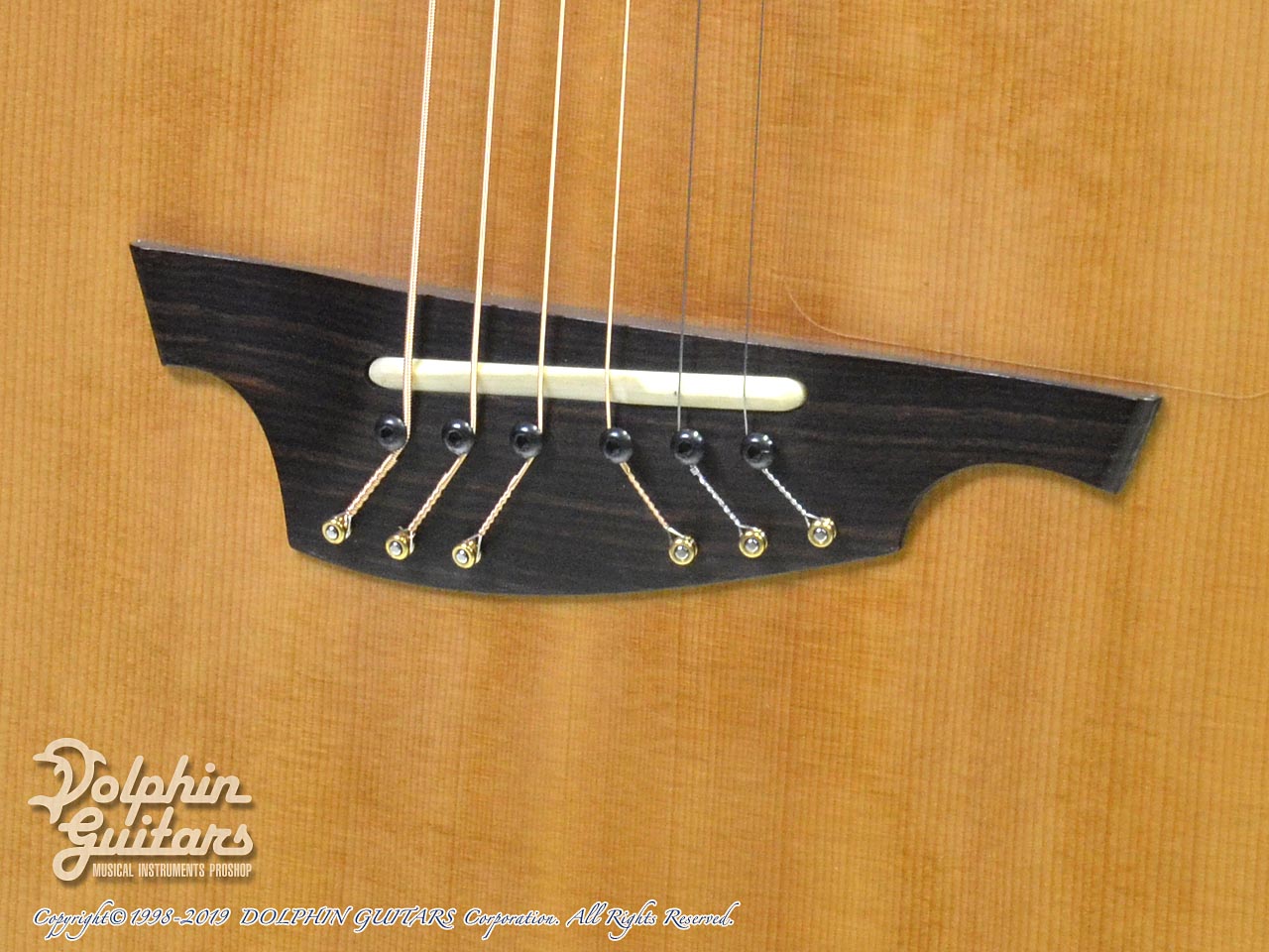 KISO KLEIN OMK-1|ドルフィンギターズ