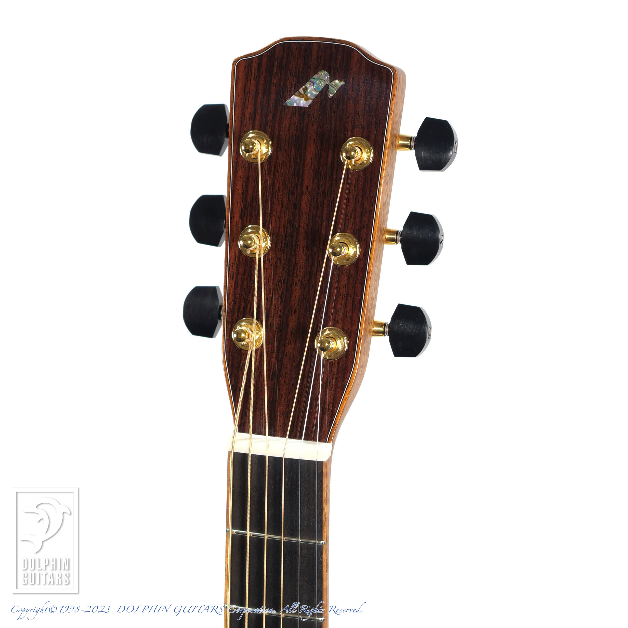 MORRIS S-104PH 2024 Limited Edition For FingerPicking|ドルフィン