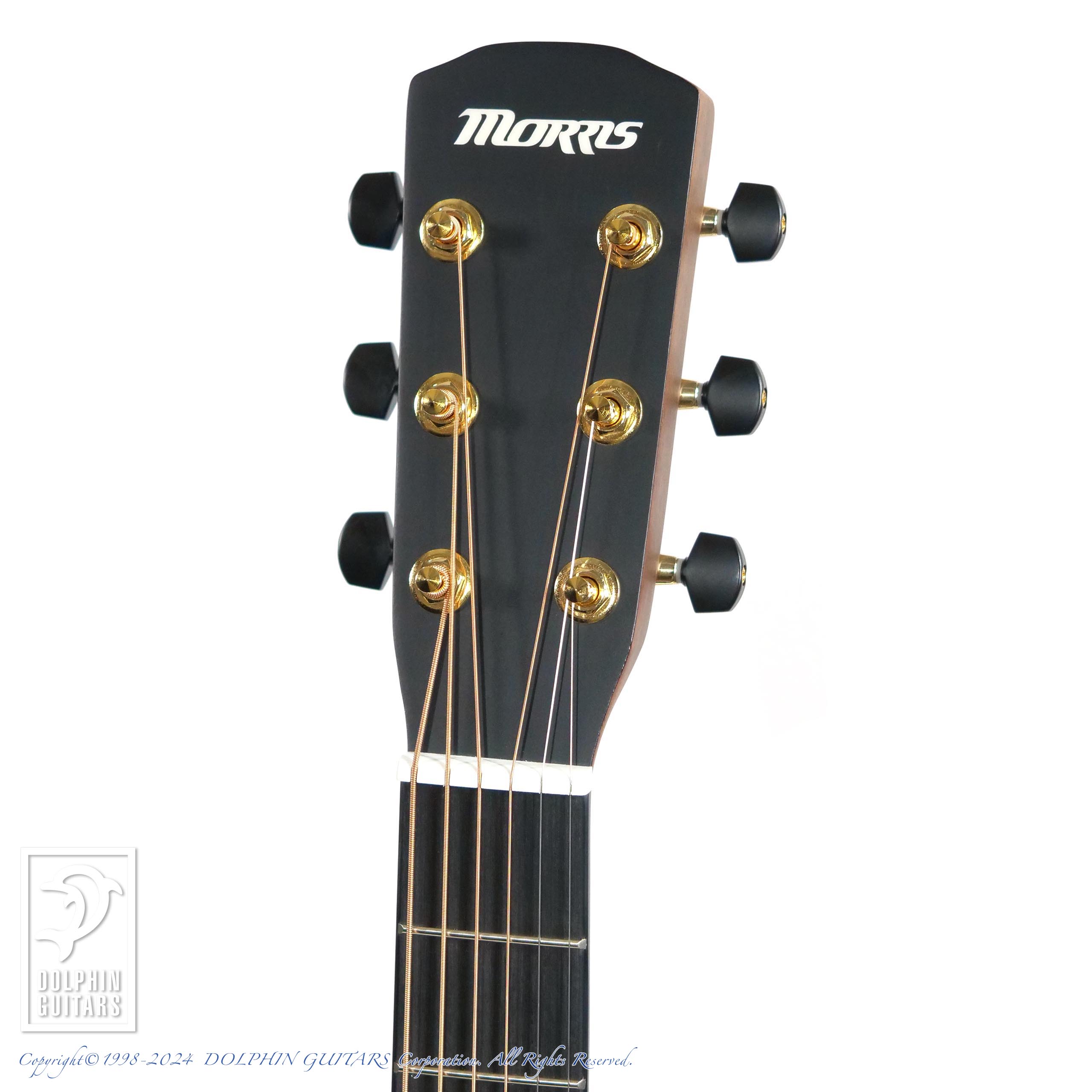 MORRIS SA-021E NAT|ドルフィンギターズ