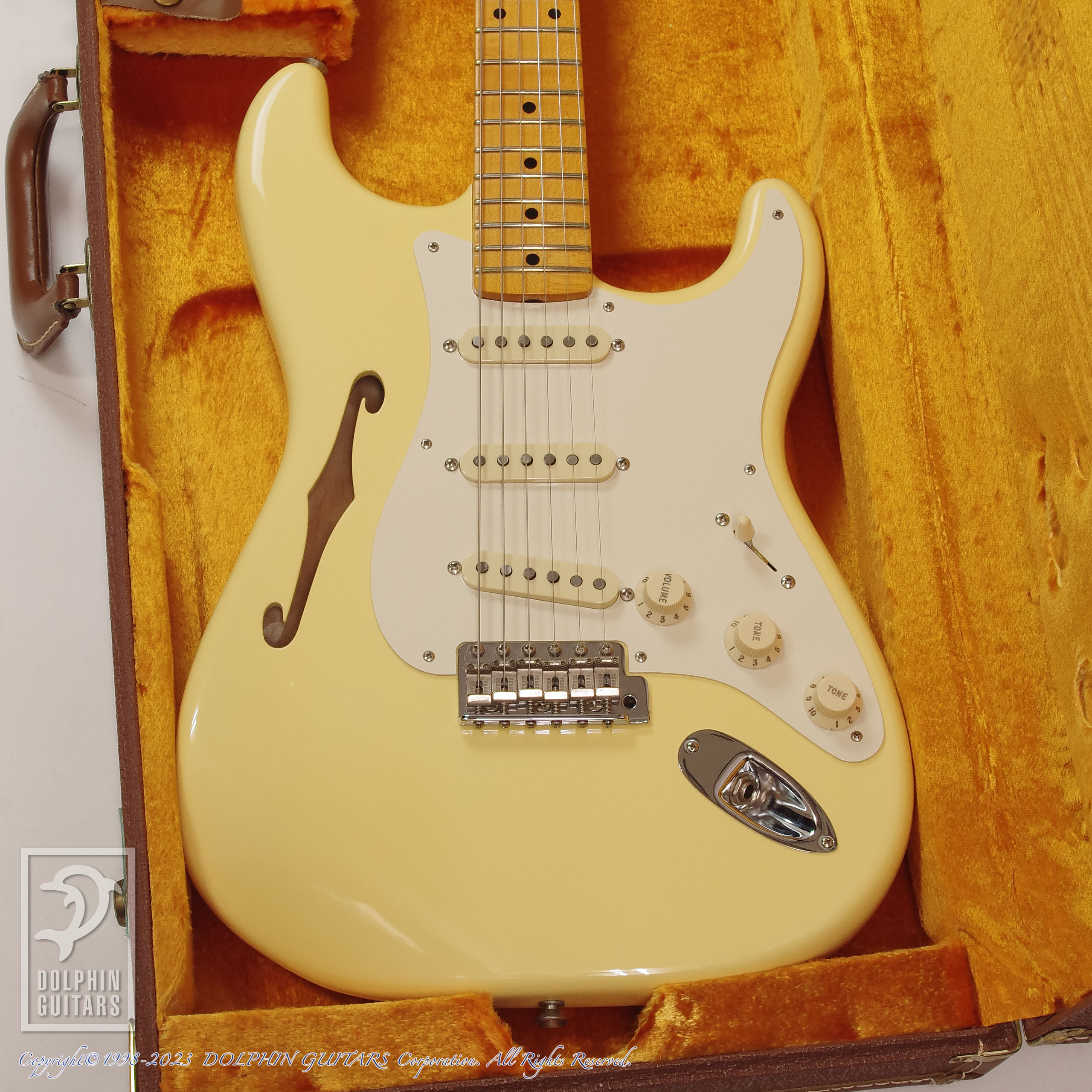 FENDER USA Eric Johnson Signature Stratocaster Thinline (Vintage