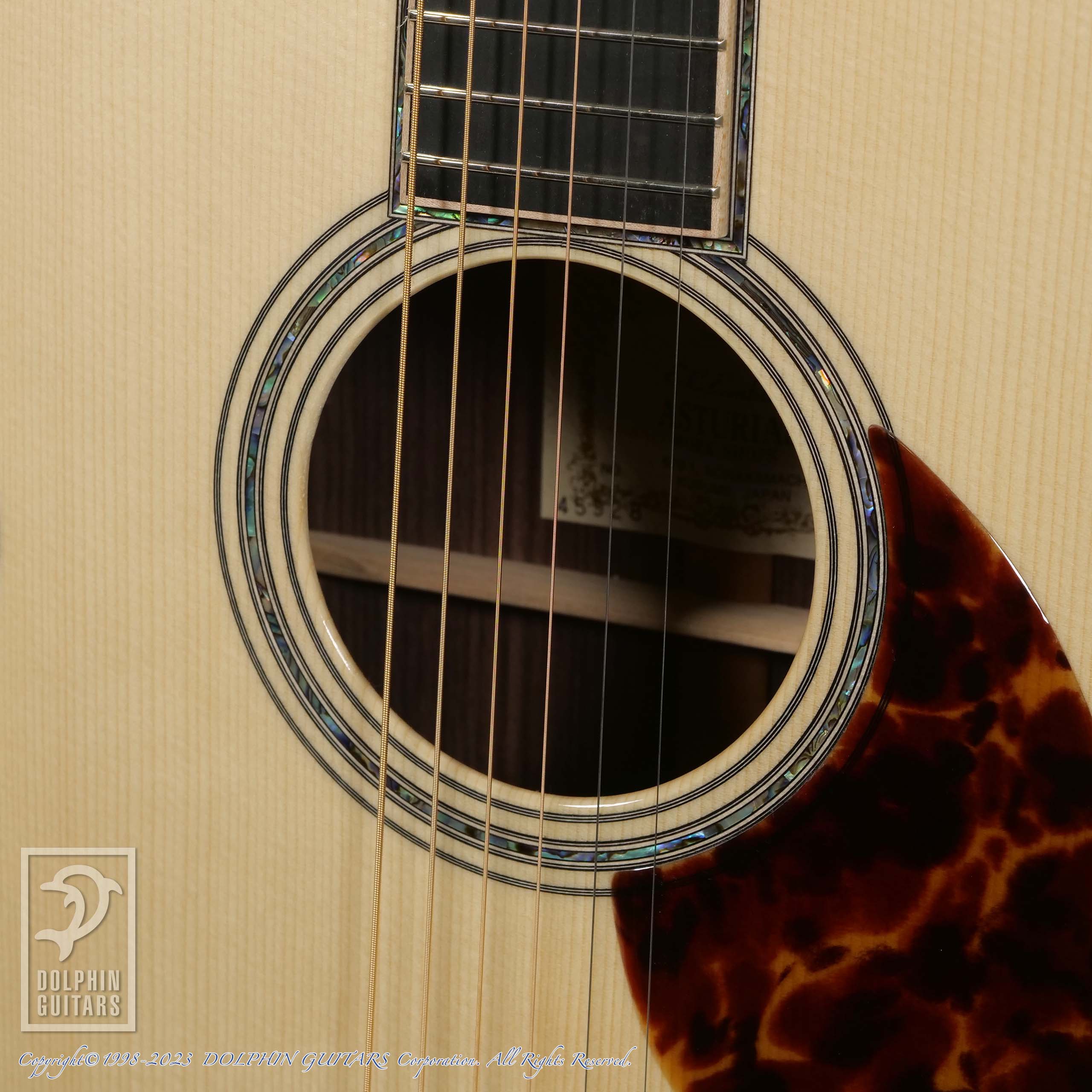 ASTURIAS E.C.Emblem|ドルフィンギターズ