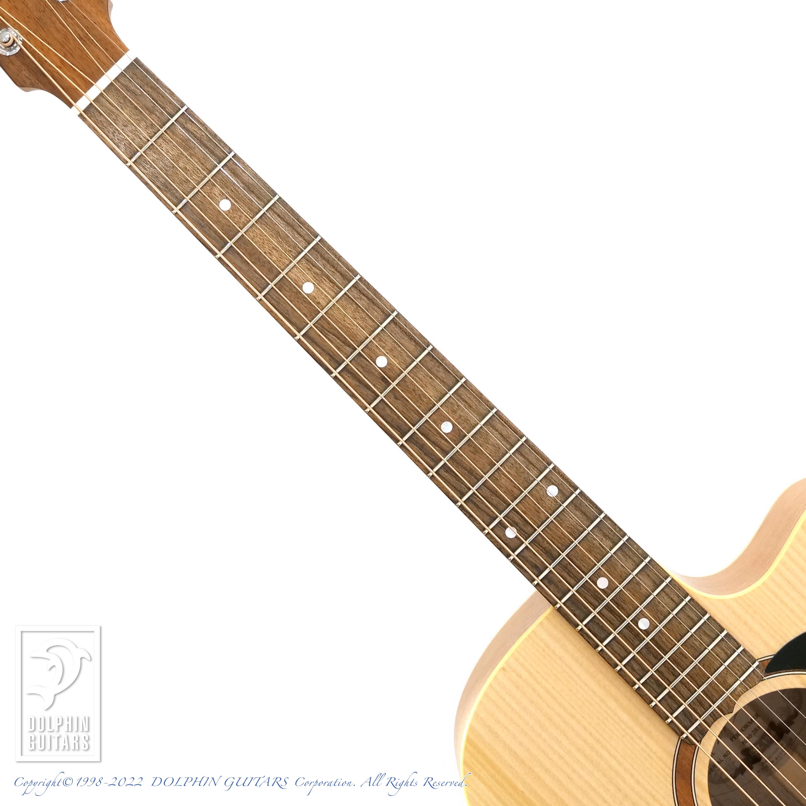 MATON Performer|ドルフィンギターズ