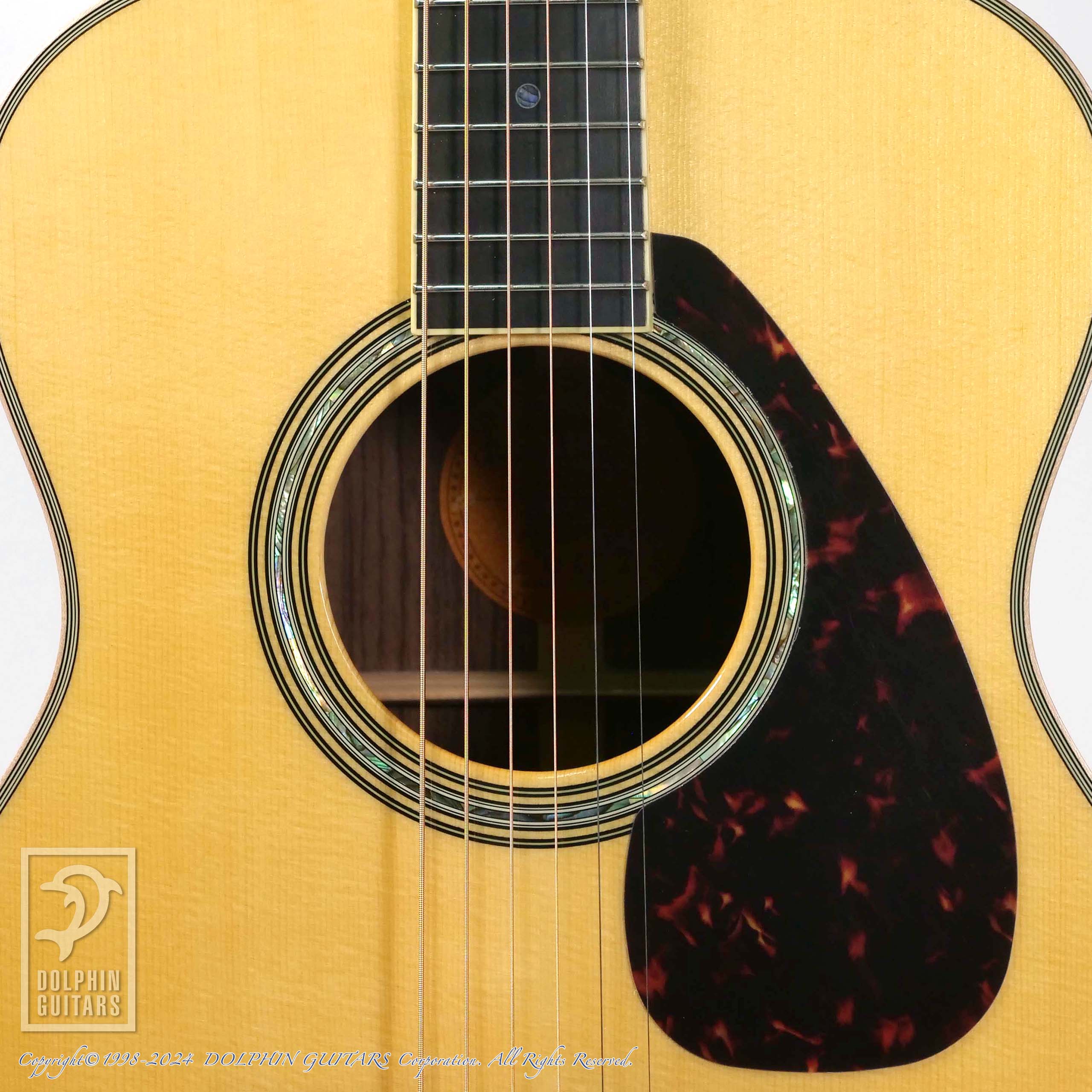 YAMAHA LS16 ARE|ドルフィンギターズ