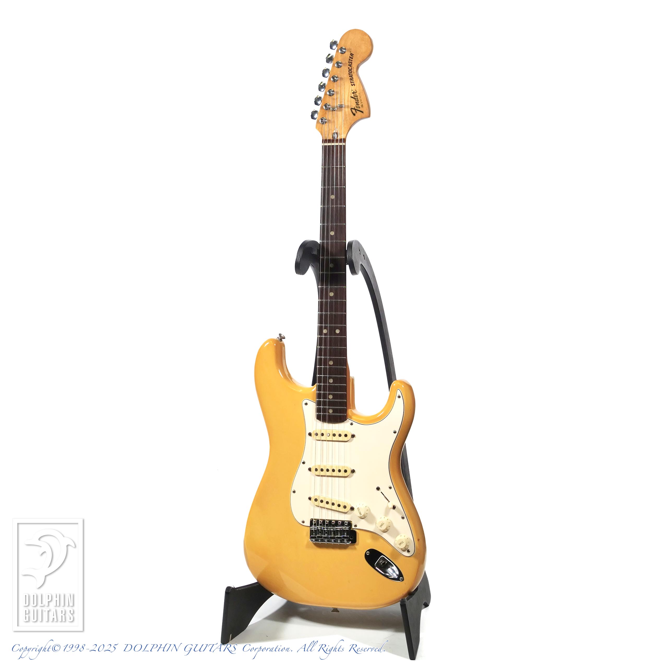 FENDER Stratocaster|ドルフィンギターズ