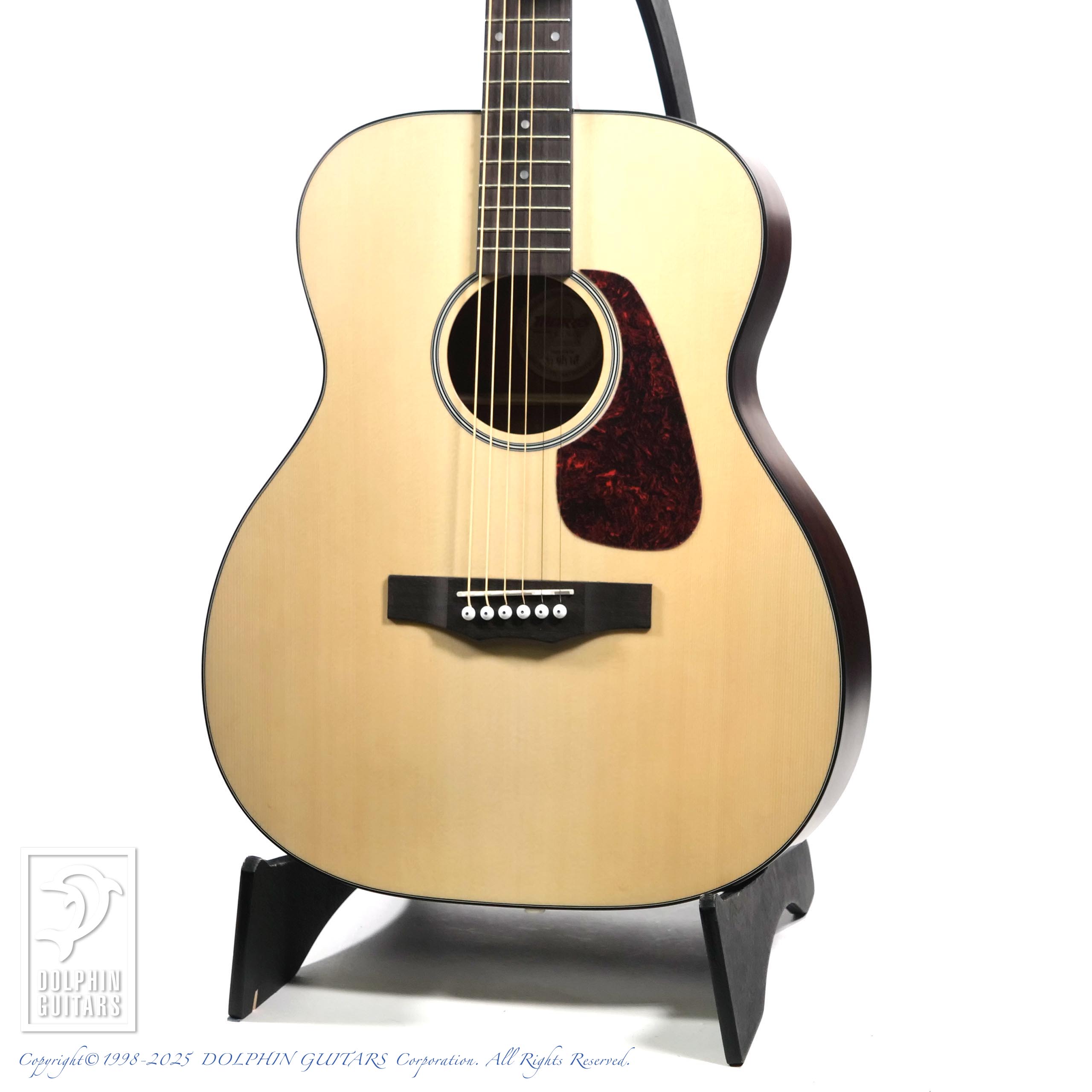 ACOUSTIC GUITAR | MORRIS 1ページ / ドルフィンギター ズお茶の間