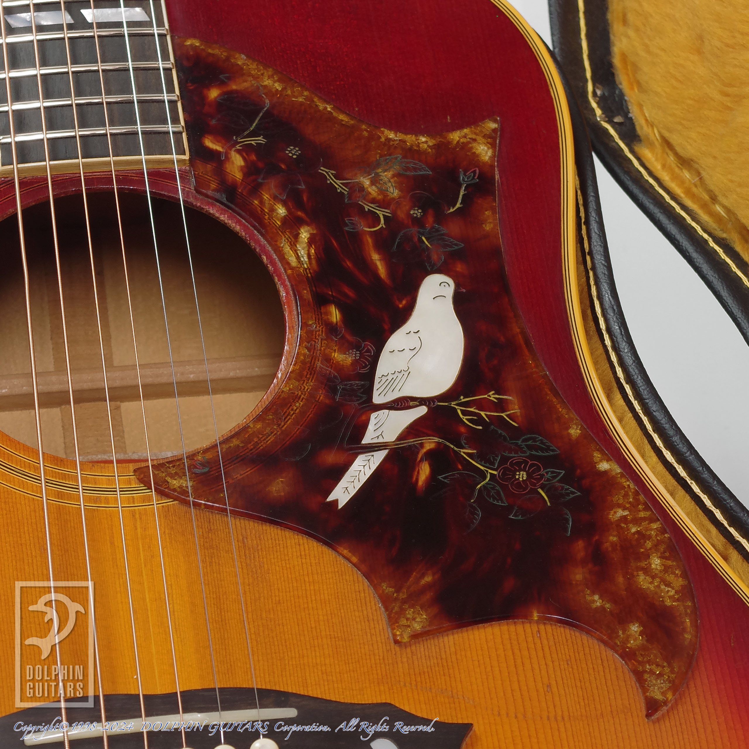 Gibson:Dove Custom