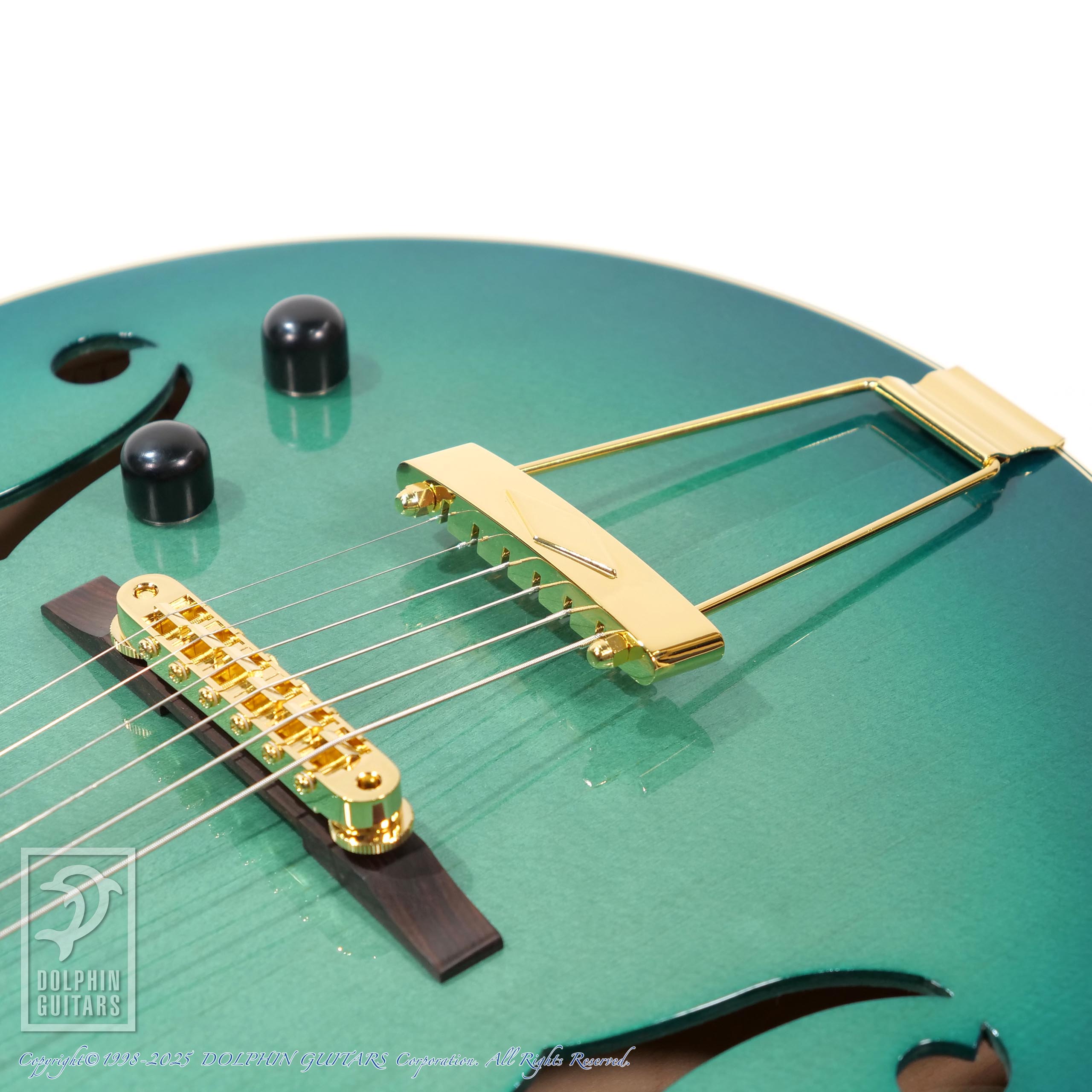 ロゼオ ギター Rozeo Ladybug フルアコースティック 美品 ロゼオ ROZEO