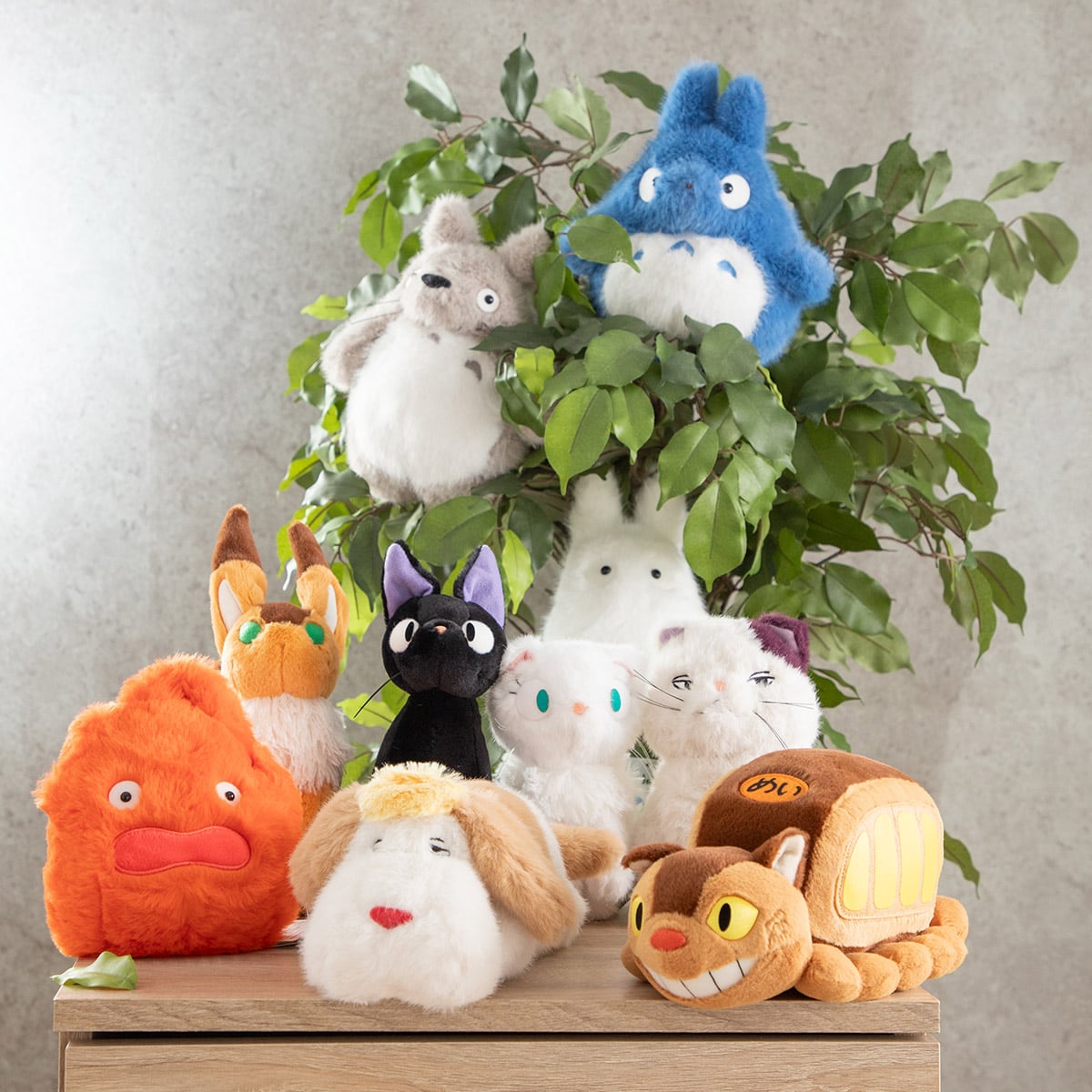 となりのトトロ こもれび 小トトロ | どんぐり共和国そらのうえ店