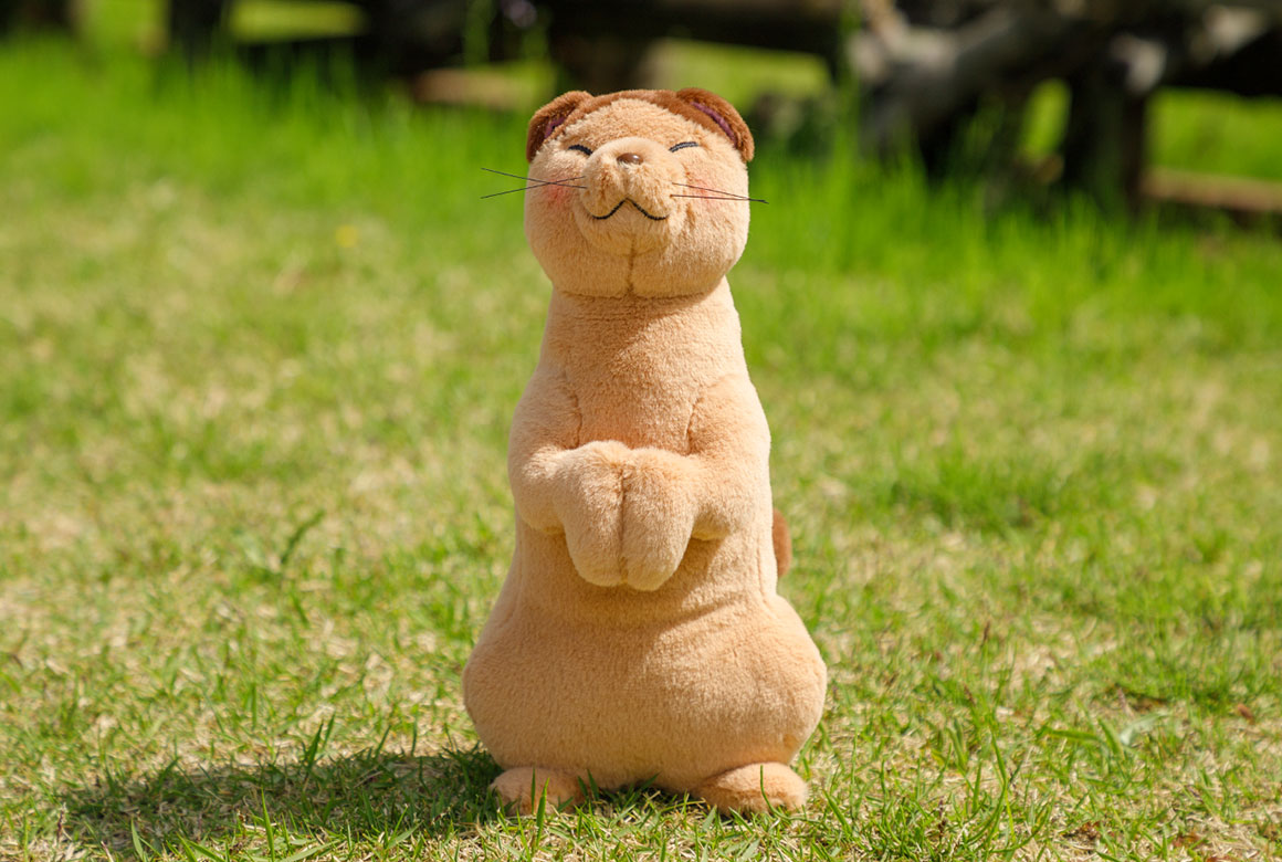 特集 - 耳をすませば | 猫の恩返し 繋がる二つの物語 | どんぐり共和国