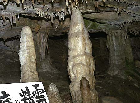 鍾乳洞｜おおきくなあれ｜大日本図書