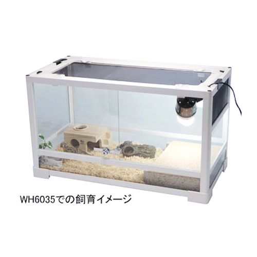 パンテオン6045 ホワイト（譲渡決定しました）