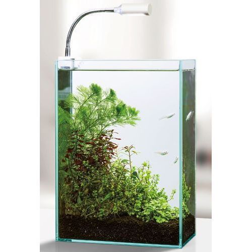 クリアLED ピテラ GEX 水槽用ライト | ホームセンター通販はDCM