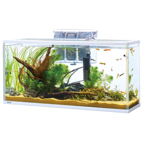 スリムアクアセット600スリム GEX ガラス水槽セット | ホームセンター