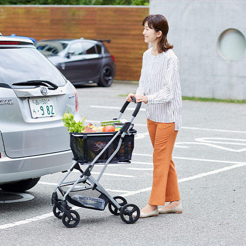 EcoCaショッピングカート マイバッグ付 プライムダイレクト 歩行関連