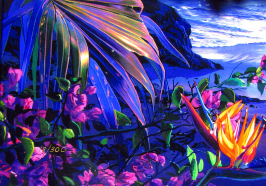 クリスチャン リース ラッセン マウイムーン3(ラッセングラフ)