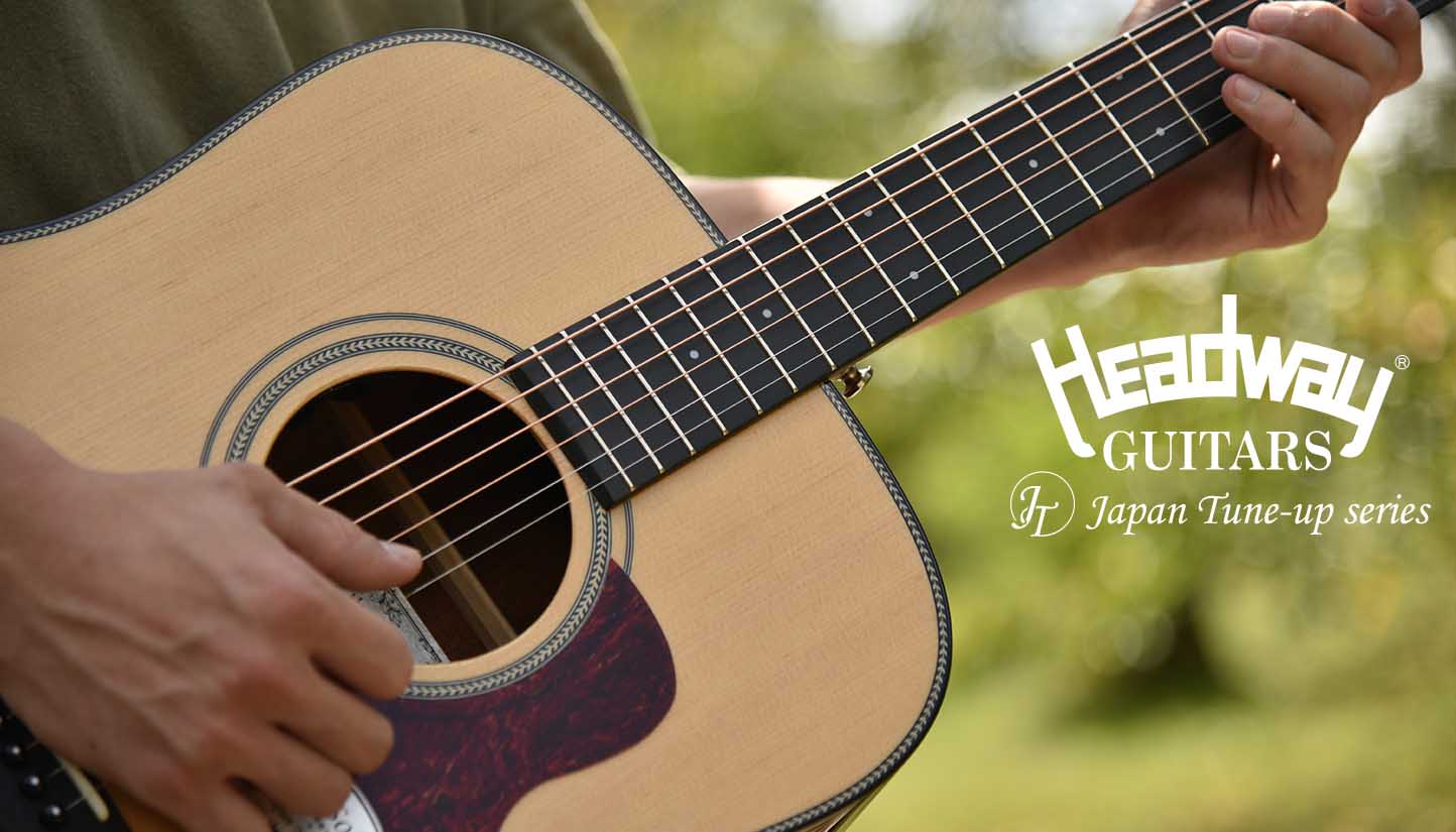 JAGARD VF600(VP60) バイオリンシェイブギター JAGARD VF600(VP60