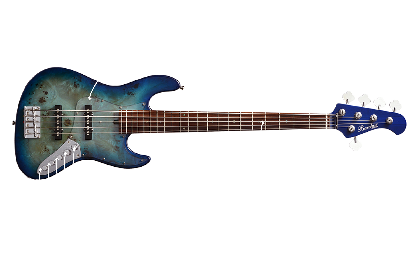 ディバイザー30周年記念 Bacchus Universe Series Bass 特集 | Deviser