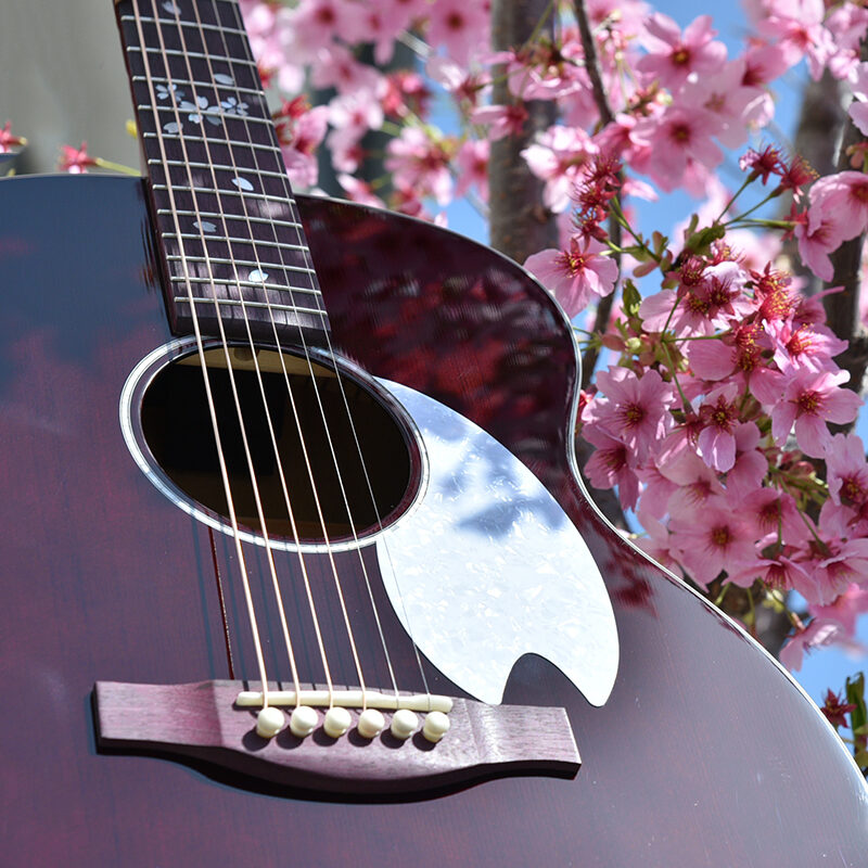 HTJ-YOZAKURA | Deviser ｜株式会社ディバイザー｜長野県松本市の