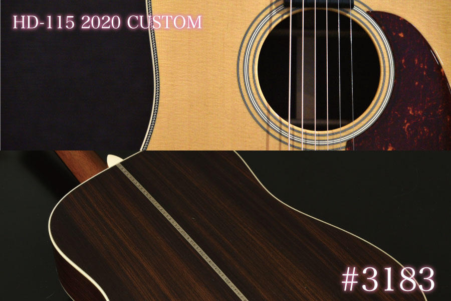 Rider R-500D Martin D-45風 Headway Momose Rider Martin R-500D