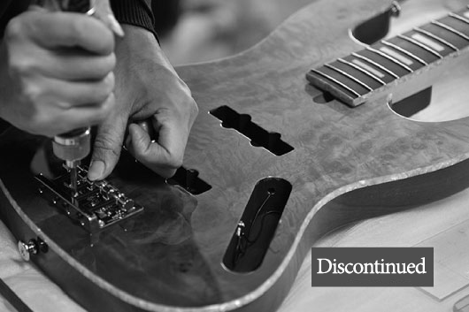 PRODUCTS | Deviser ｜株式会社ディバイザー｜長野県松本市のギター