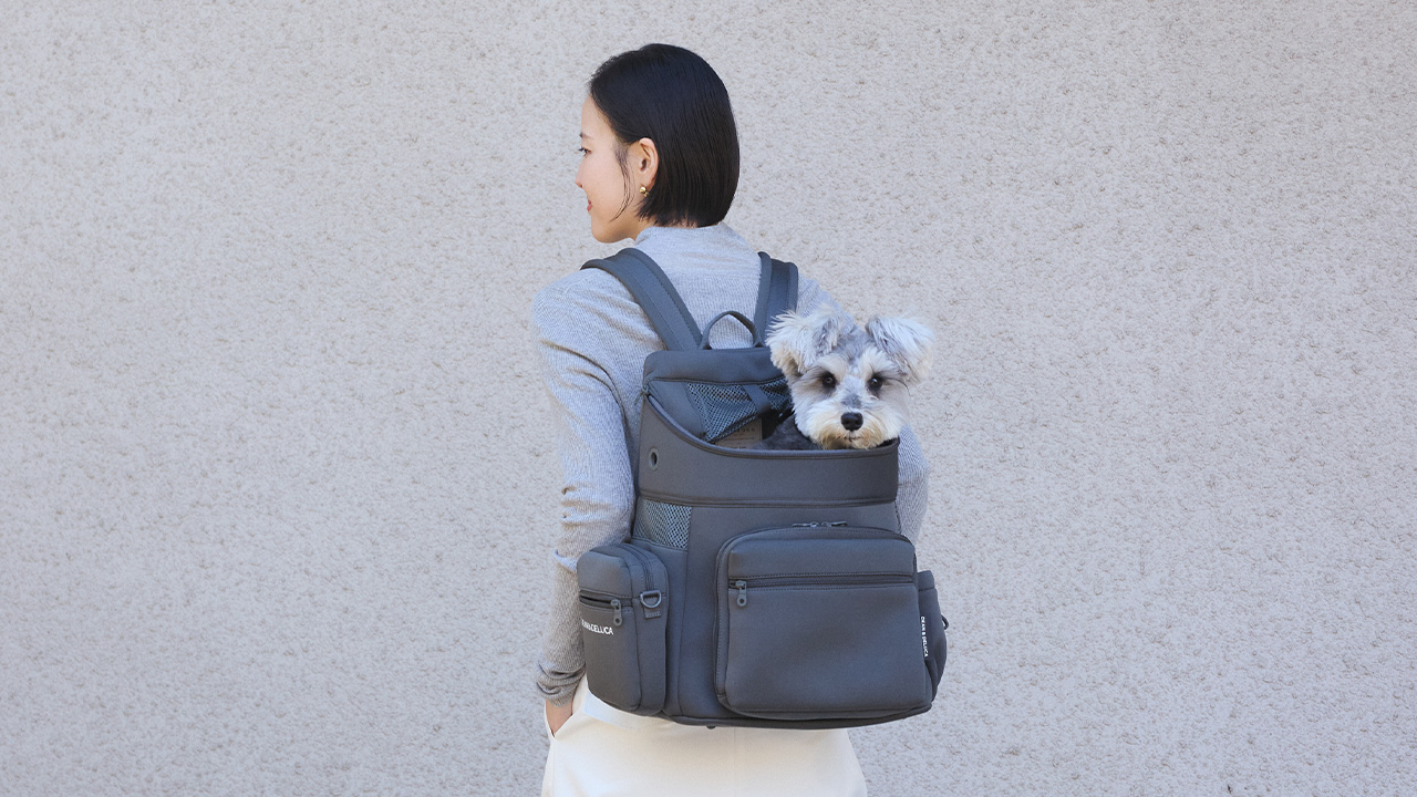CITYDOGとつくった愛犬との時間を豊かにするドッググッズ | DEAN