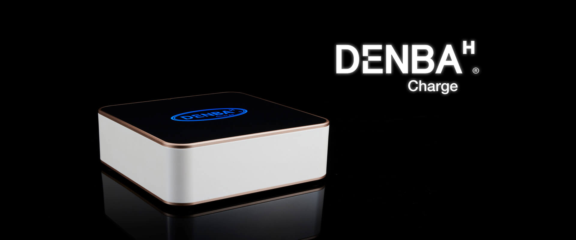 デンバヘルス スタンダード ZX DENBA HEALTH Charge 商品一覧 | DENBA