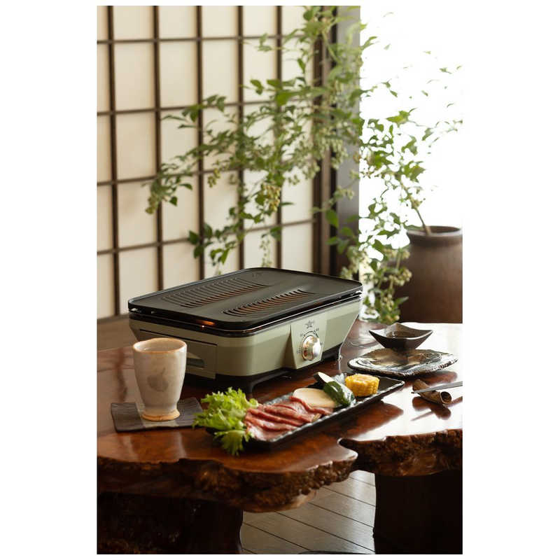 デンキチWeb / アラジン Aladdin グラファイトトースター グリーン AET