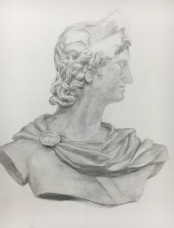 Amazon.co.jp: 石膏像 K－127 アポロ胸像 H．79cm : ホーム