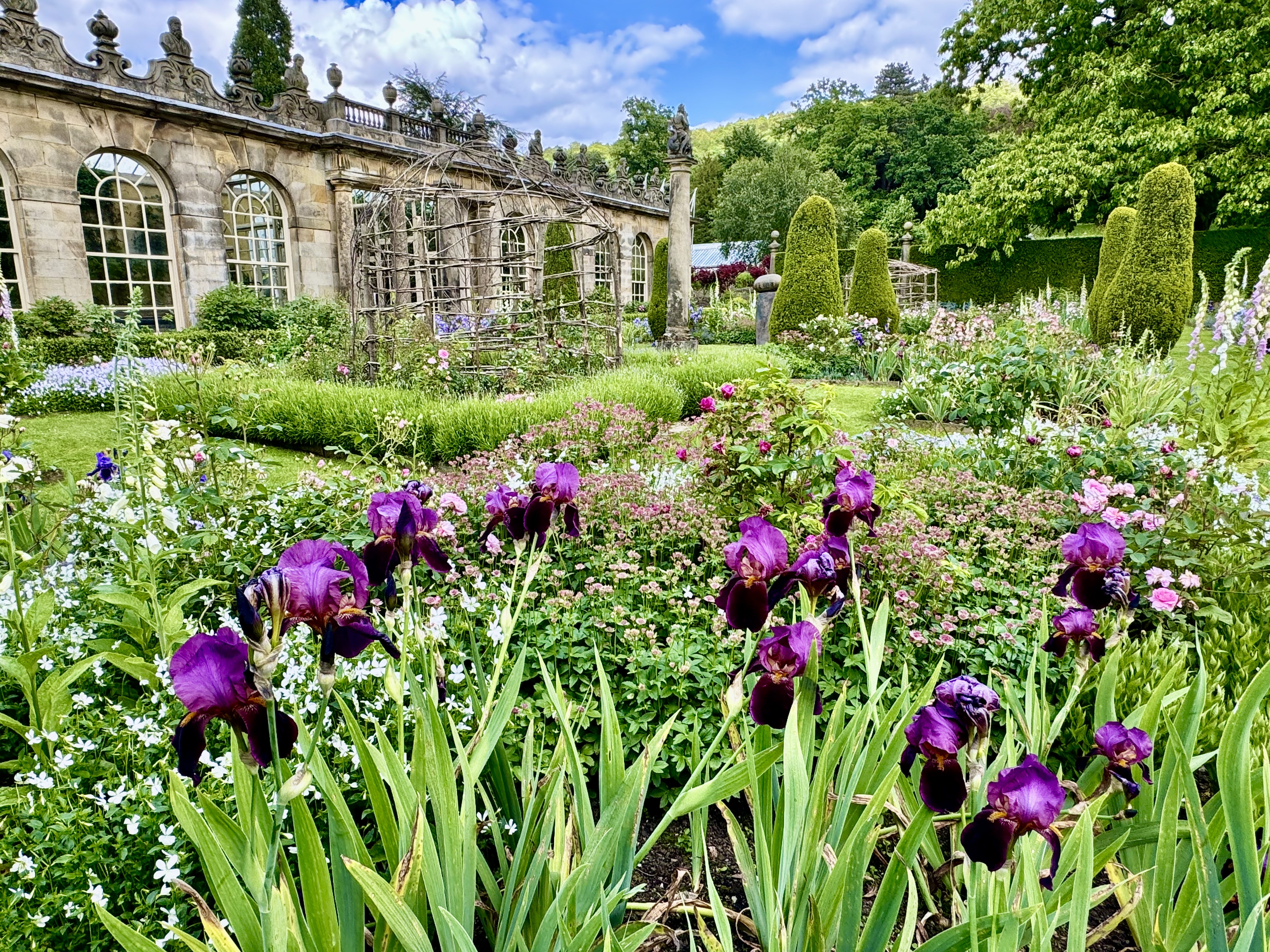 イギリス最先端のウェルビーイングなガーデン事情 2024ツアー報告