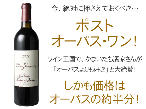 カベルネ・ソーヴィニヨン ナパ・ヴァレー 2017 パルマッツ・ヴィン