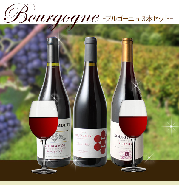 送料無料】ワインセット ブルゴーニュ 3本 セット 赤ワイン ピノ