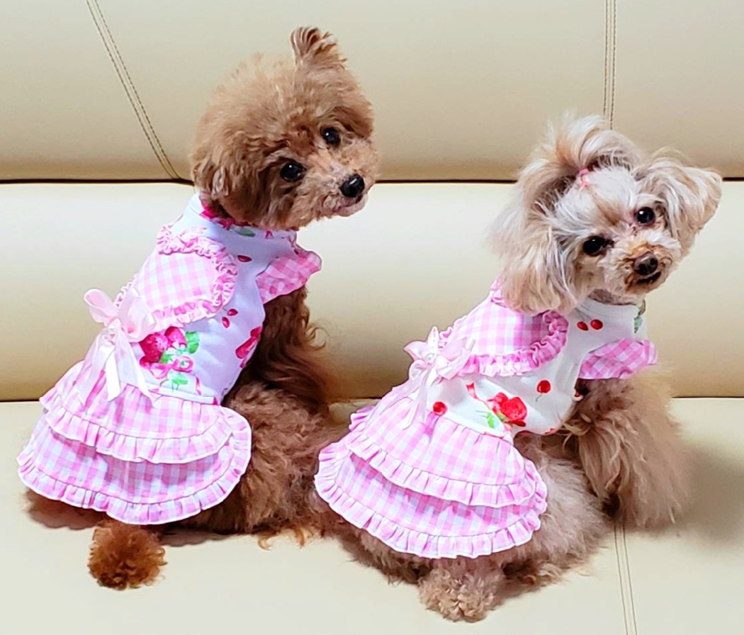 オーダー】おおきな苺のハイネックロンT犬服