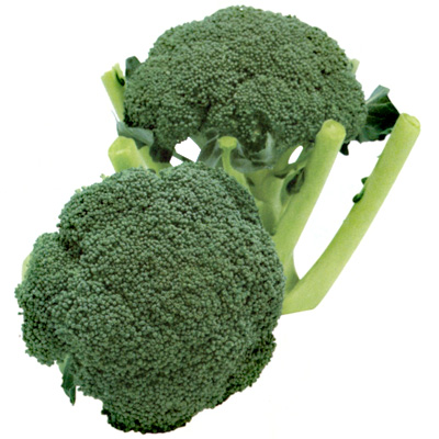 スピードドーム052[ブロッコリー] - e-種や｜国内最大級の野菜種・花種