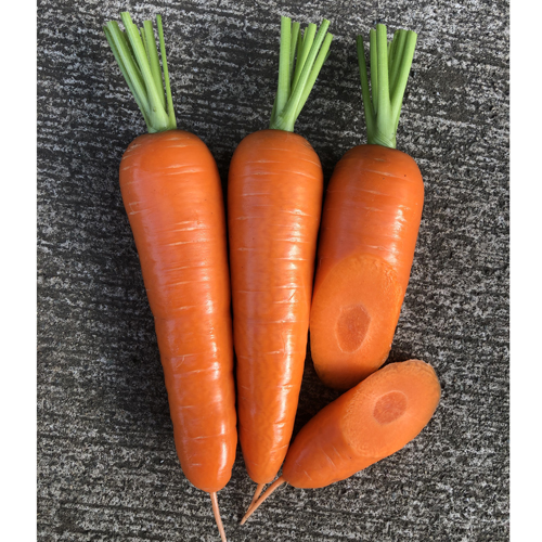 萌うさぎ（NCA-38）[人参] - e-種や｜国内最大級の野菜種・花種・苗