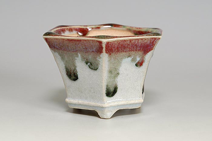 獅子丸 六角 盆栽鉢 獅子丸 盆栽鉢 Yahoo!オークション -「獅子丸」(松