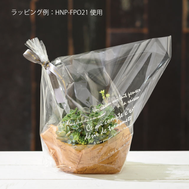 ハンドメイドプリントフラワーポット-21/浅型(直径135(115)×H70