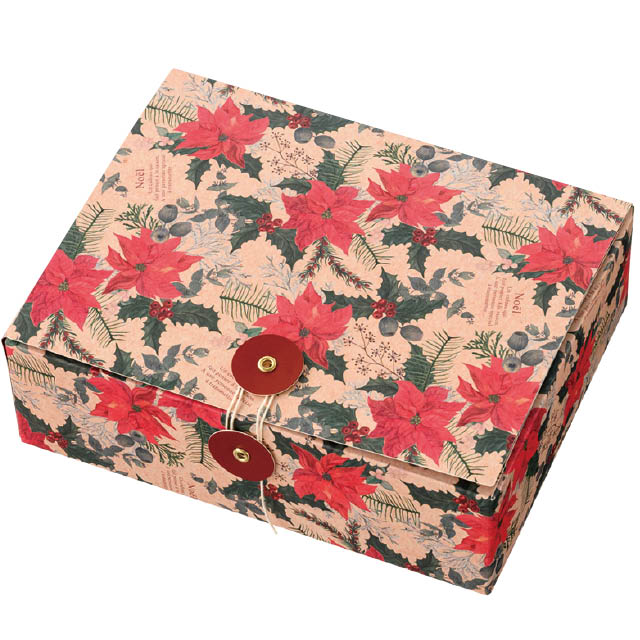 ギフトボックス ラティアスex・ラティオスex ポケモンカードADV ギフト