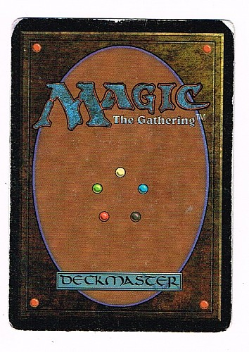 MTG 複製原画 Time walk ブラックロータス 鷺群れのシガルダ MTG 複製