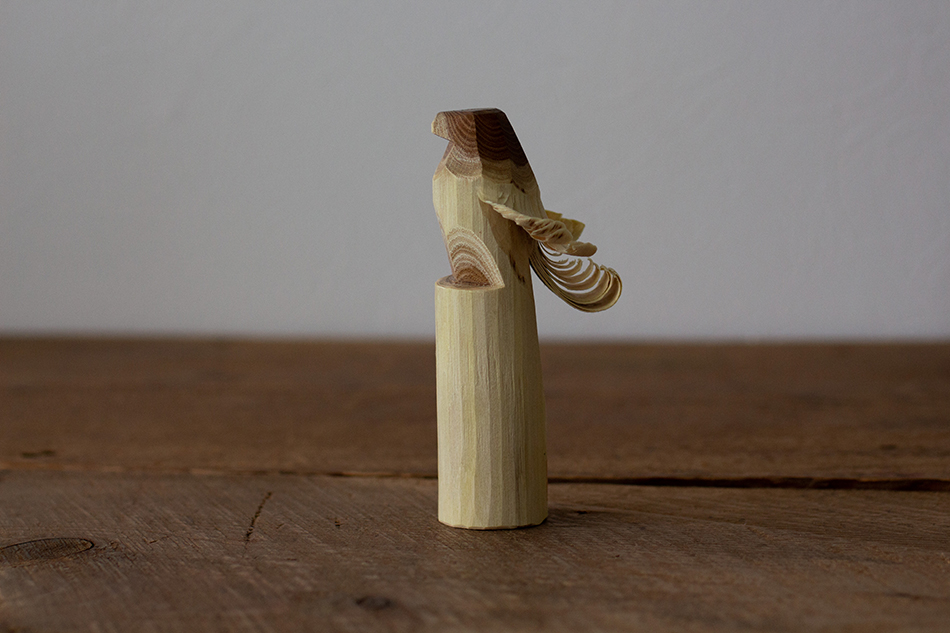 お鷹ぽっぽ エンジュタカ(無地） 5号 縁日