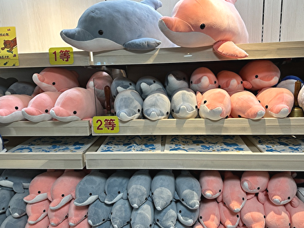 オッターショップ | ショップ | 新江ノ島水族館