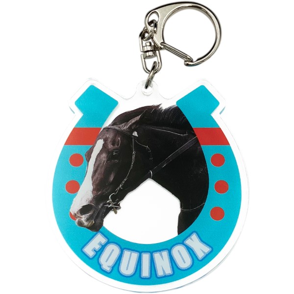 イクイノックス】実使用 蹄鉄 鬣 たてがみ 2023ジャパンカップ馬券 ①