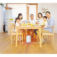 アピックスインターナショナル ADK360 360°セラミックヒーター