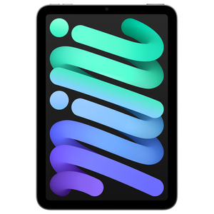 Apple MXNA3J/A iPad mini Wi-Fiモデル 256GB スペースグレイ