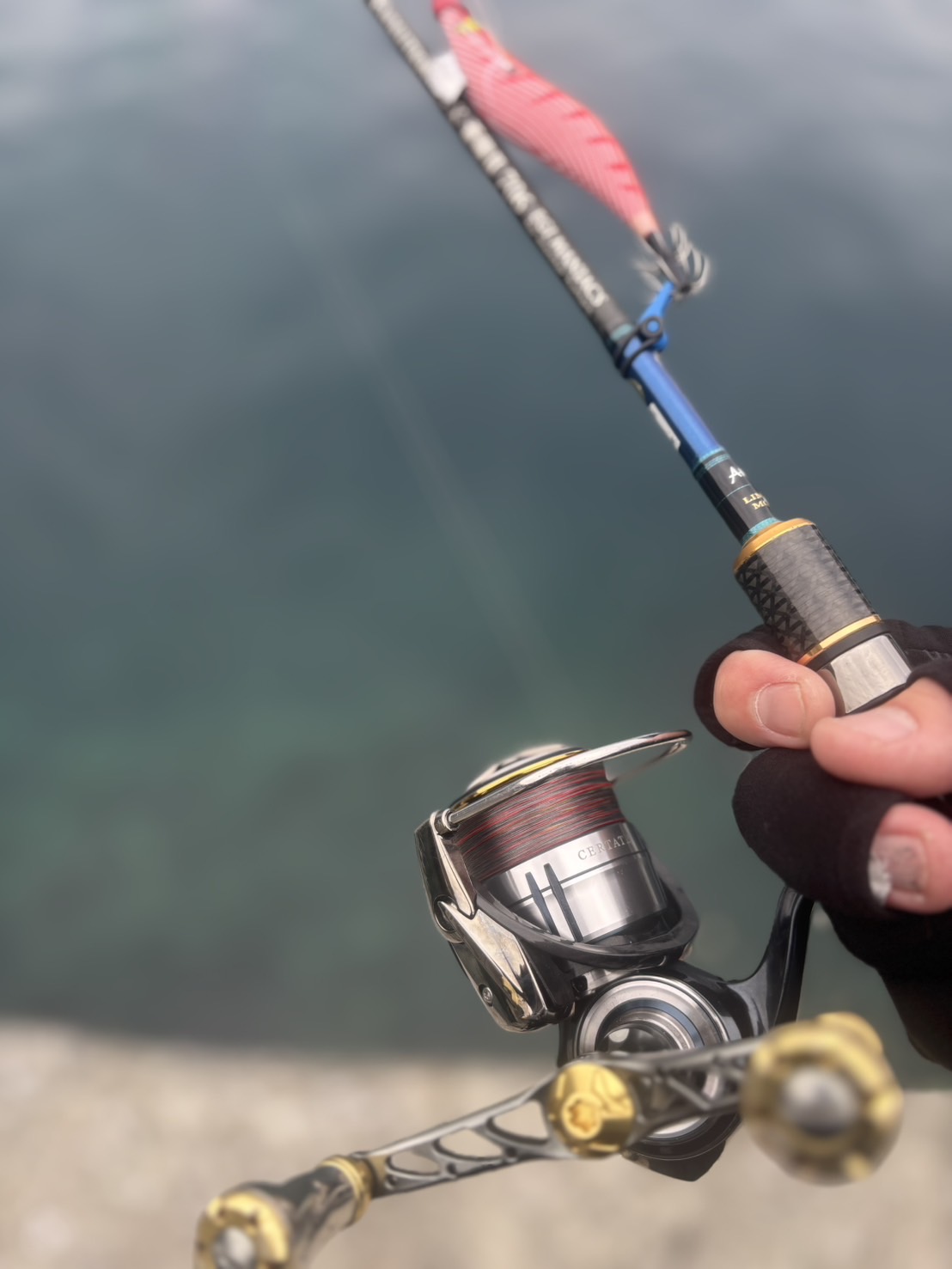 スペイン語版 Eye of Ophidia / ES_1HP000-2-RF スペイン語版 Eye of