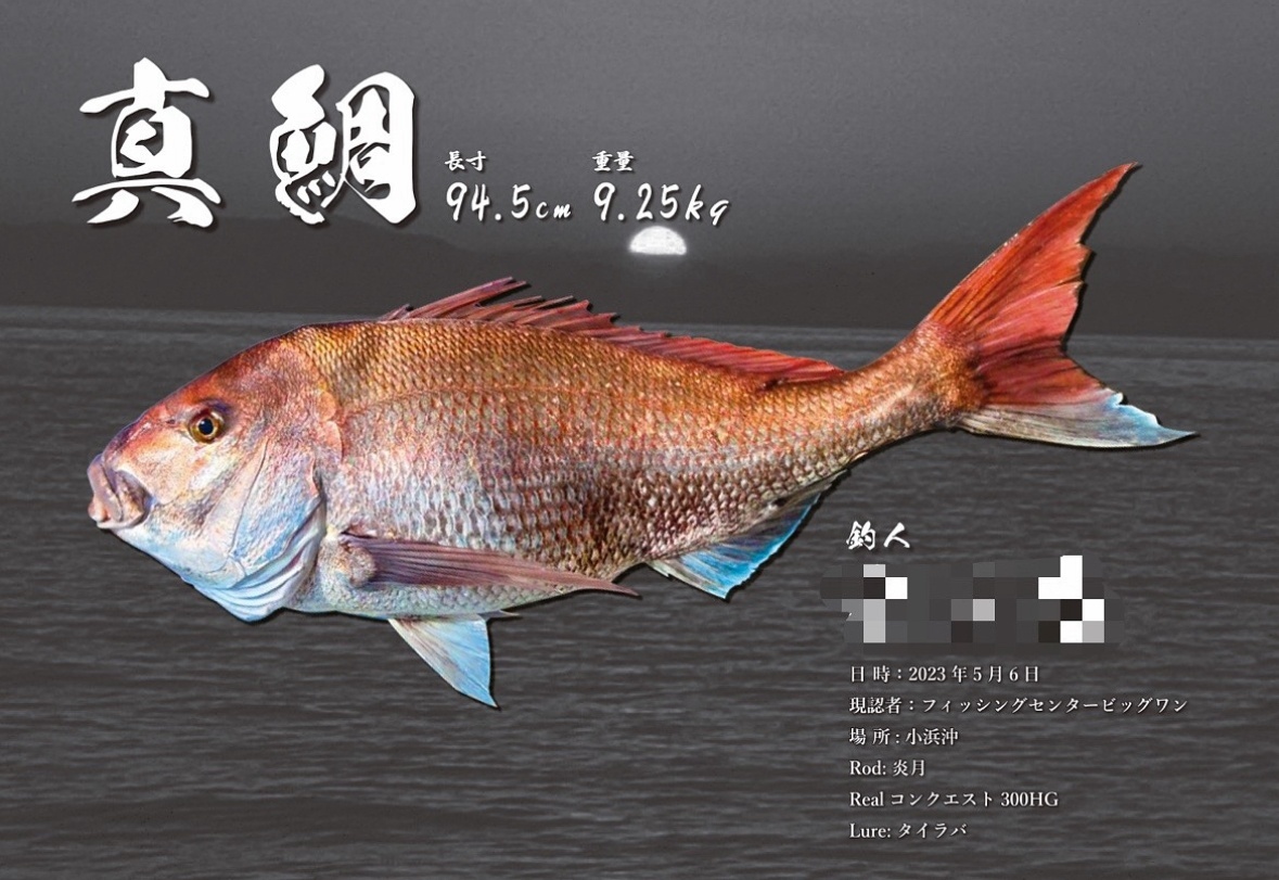 DIGITAL魚拓/イカ拓制作依頼 - EGI MANIACS