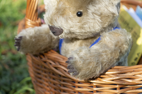 送料無料）くまの子ウーフ×シュタイフ ぬいぐるみ | 絵本ナビ | グッズ