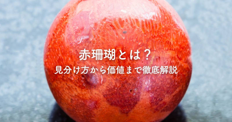 赤珊瑚とは？見分け方から価値まで徹底解説｜愛知名古屋の骨董品買取は