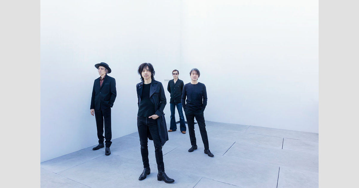 美品【宮本浩次×Mister hollywood】シャツ Nハリ 38 【黒】 N