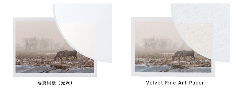 プロセレクション プリント用紙テクノロジー | 製品情報 | エプソン